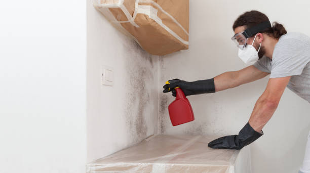 Professional Mold Inspection And Testing technician working in Fruitport, MI